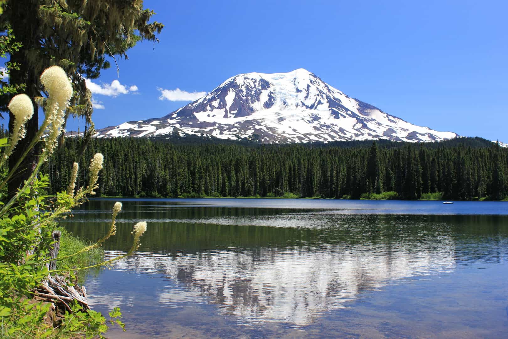 mount adams risveglio 1012