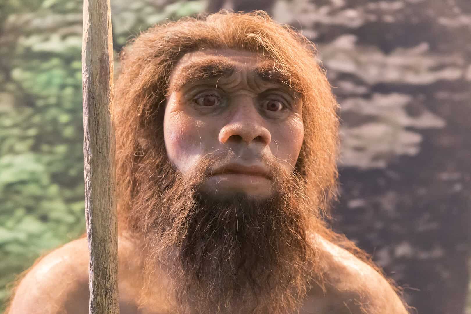 Quali erano le capacità cognitive e di intelligenza dei Neanderthal? Le ultime scoperta della scienza