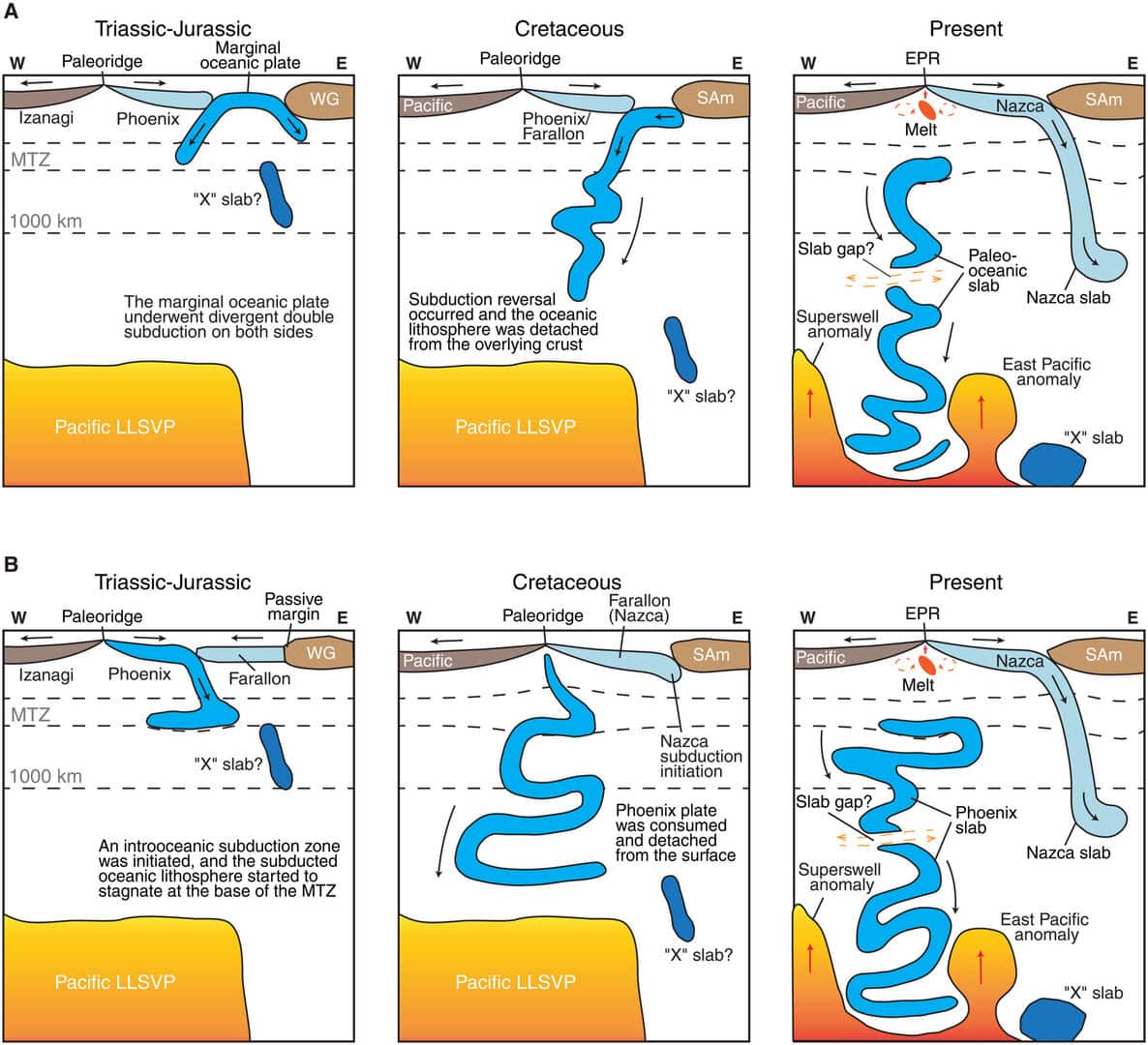 Rappresentazione del modello geodinamico che illustra i processi di subduzione e le interazioni tra diverse placche tettoniche (Fonte: Jingchuan Wang, Università del Maryland).