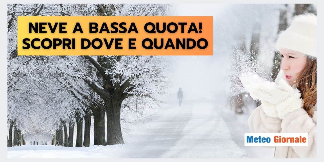 Copia di BOMBE DI GRANDINE 83
