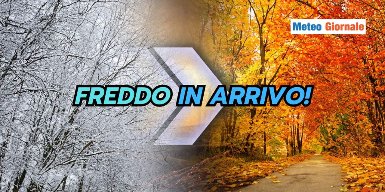 FREDDO IN ARRIVO