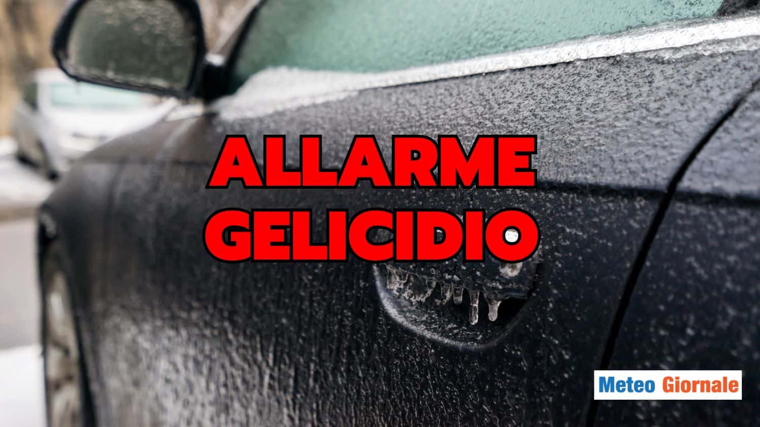 GELIMTG 21 nov