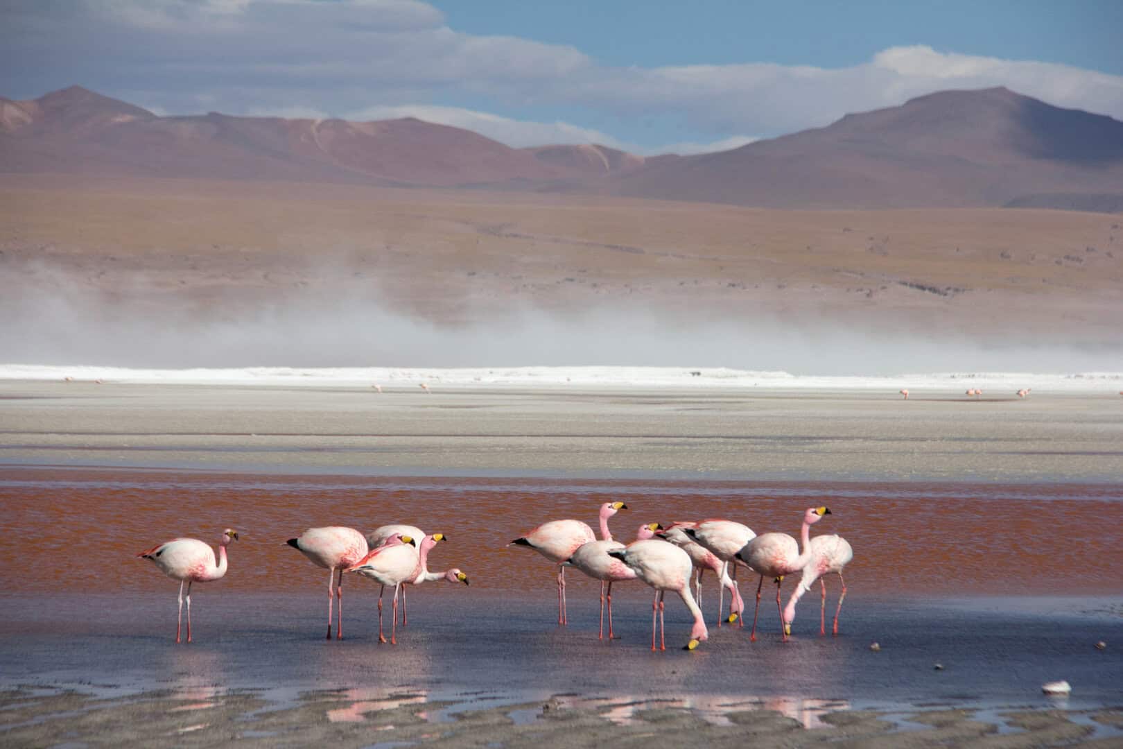 atacama cile 1227
