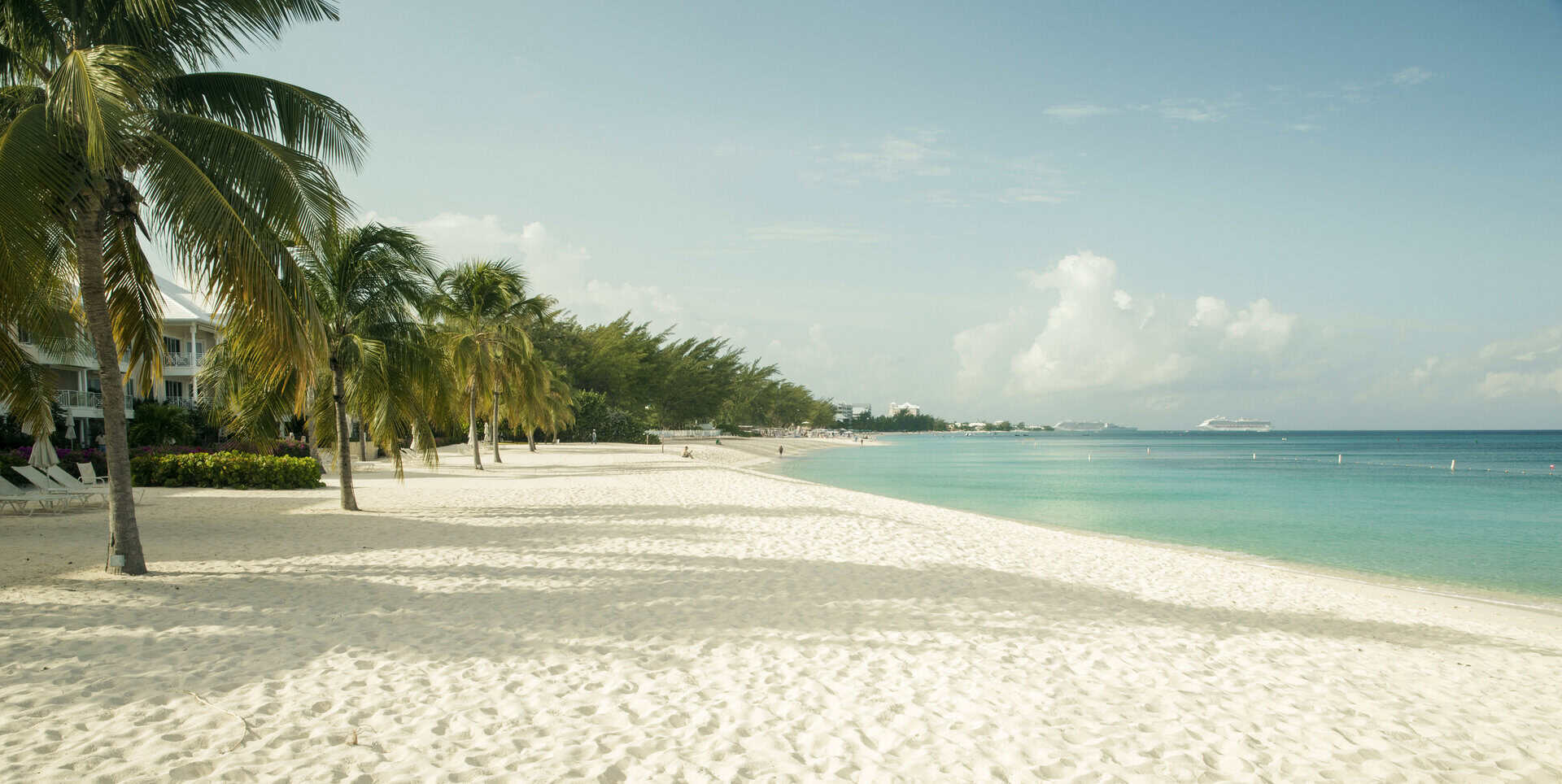 cayman island 1229
