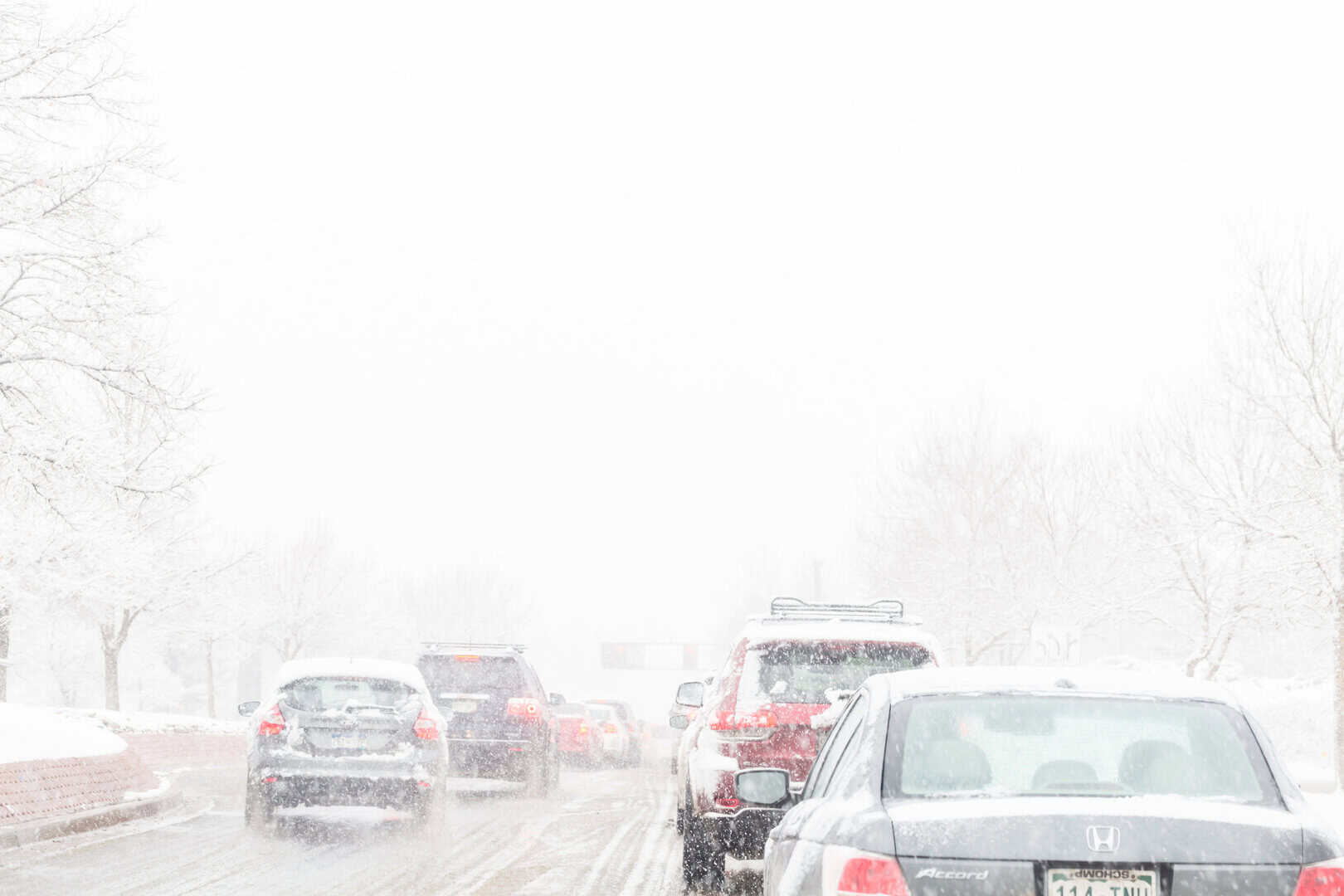 Grande tempesta di neve colpisce il sud-ovest degli Stati Uniti: stato di emergenza nel New Mexico