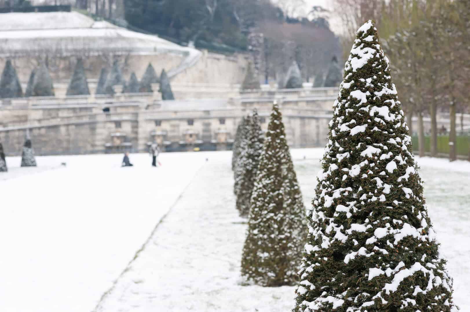 Turismo natalizio a Parigi. Incanto ai Giardini delle Tuileries, consigli pratici