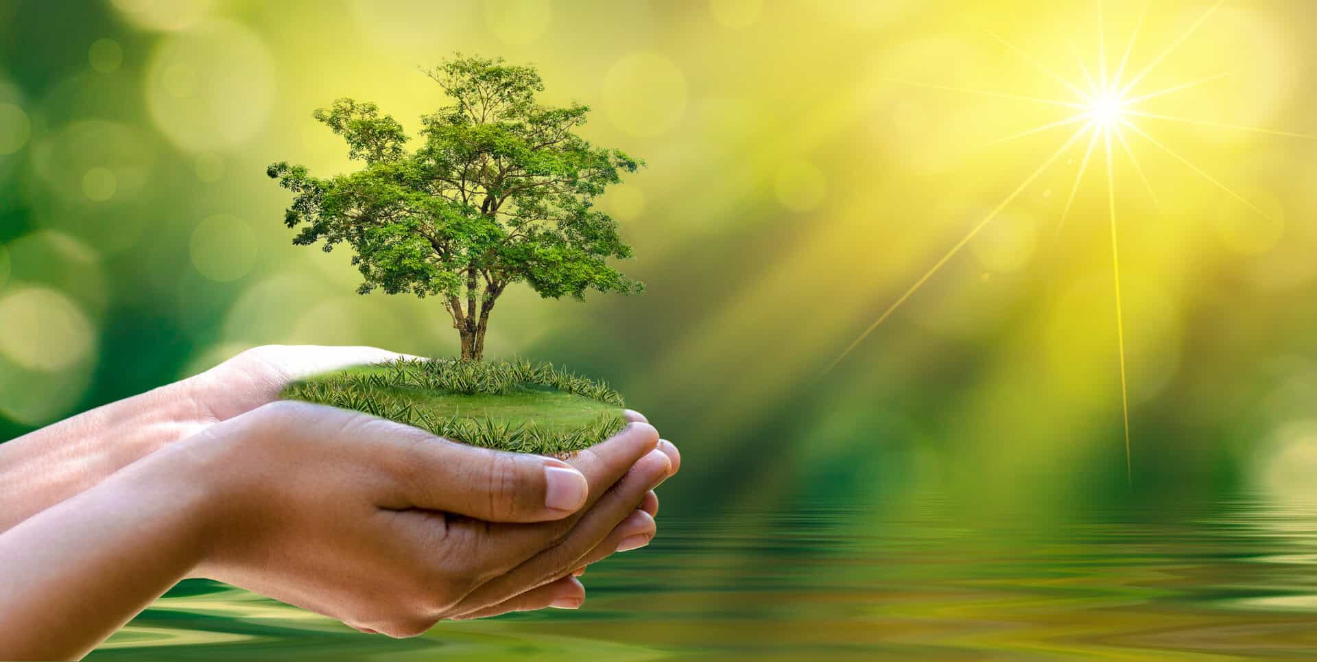 Turismo sostenibile. Strategie innovative per viaggiare rispettando l’ambiente