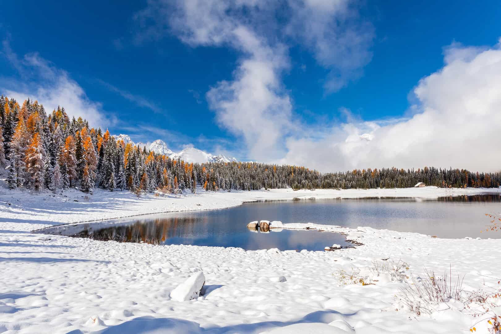 dreamstime m 173040720 1