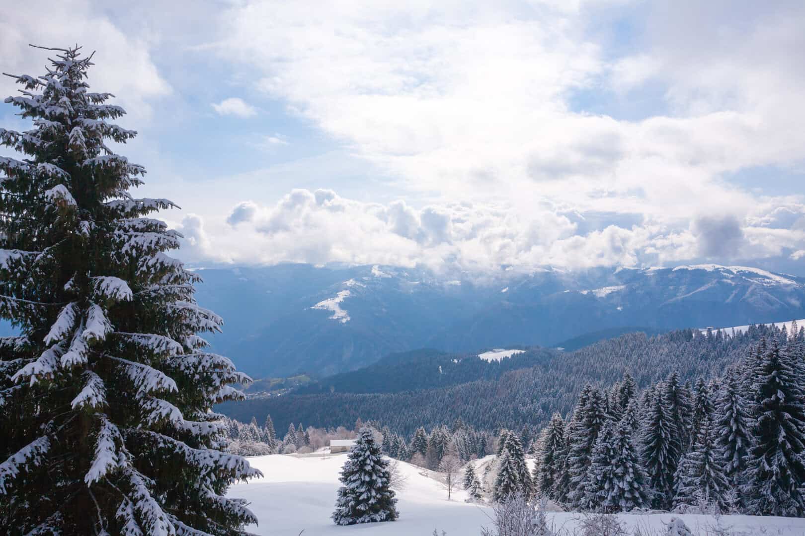 dreamstime m 250916914