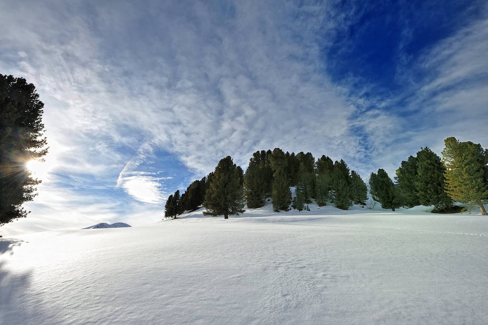 dreamstime m 28729589