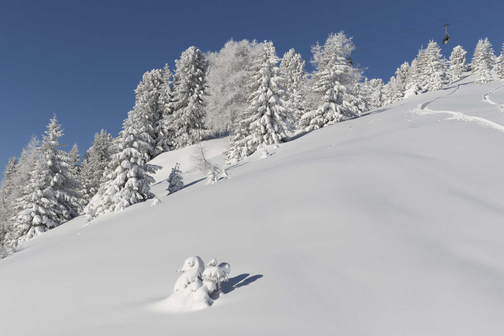 Turismo in Val di Non: Sci di fondo, ciaspolate ed escursioni invernali