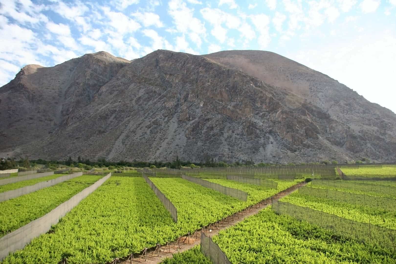 Turismo in valle del Elqui. Serenità sotto un cielo stellato