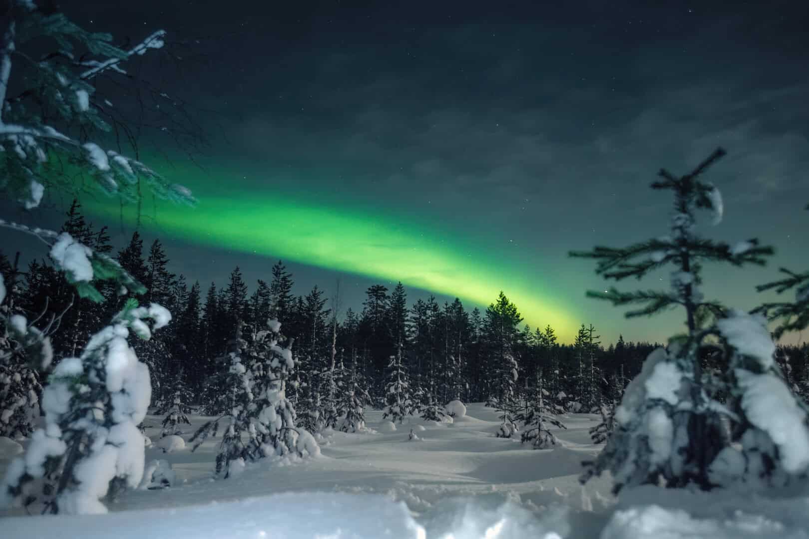 Viaggio a Rovaniemi. Guida alla caccia dell’aurora boreale con attrezzatura adeguata