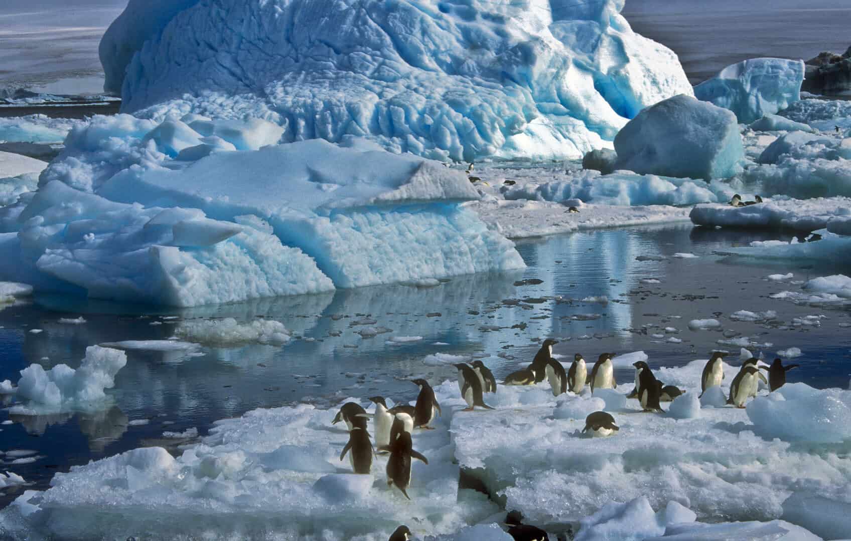 500 scienziati lanciano l’allarme emergenza per il destino dell’Antartide