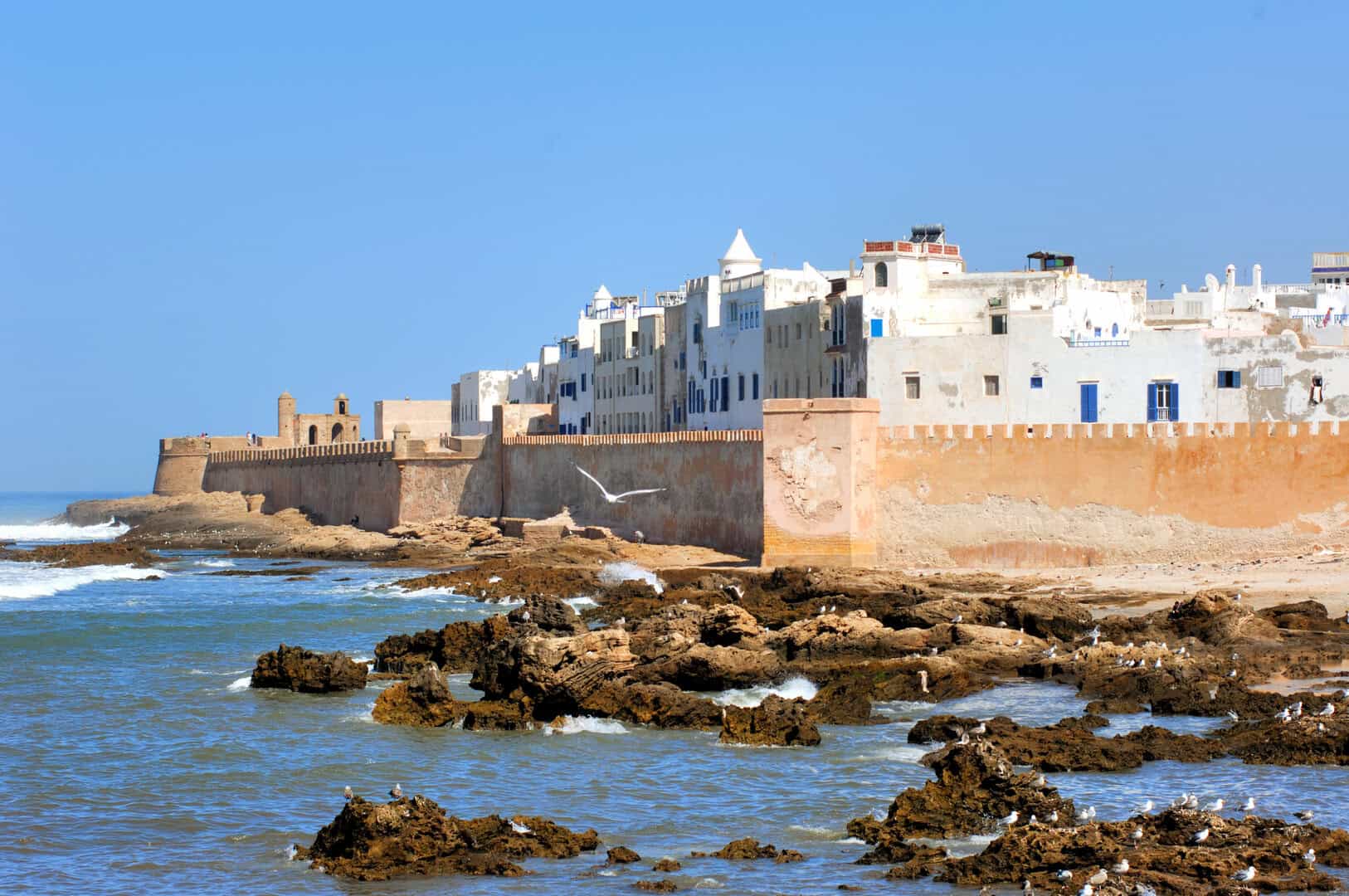Viaggio a Essaouira: la perla dell’Atlantico marocchino tra tradizione e bellezza senza tempo