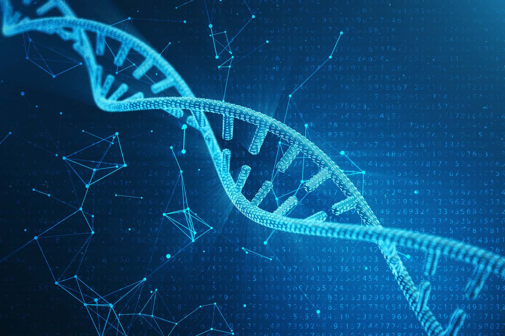Come sappiamo che l’evoluzione è ancora in corso oggi?