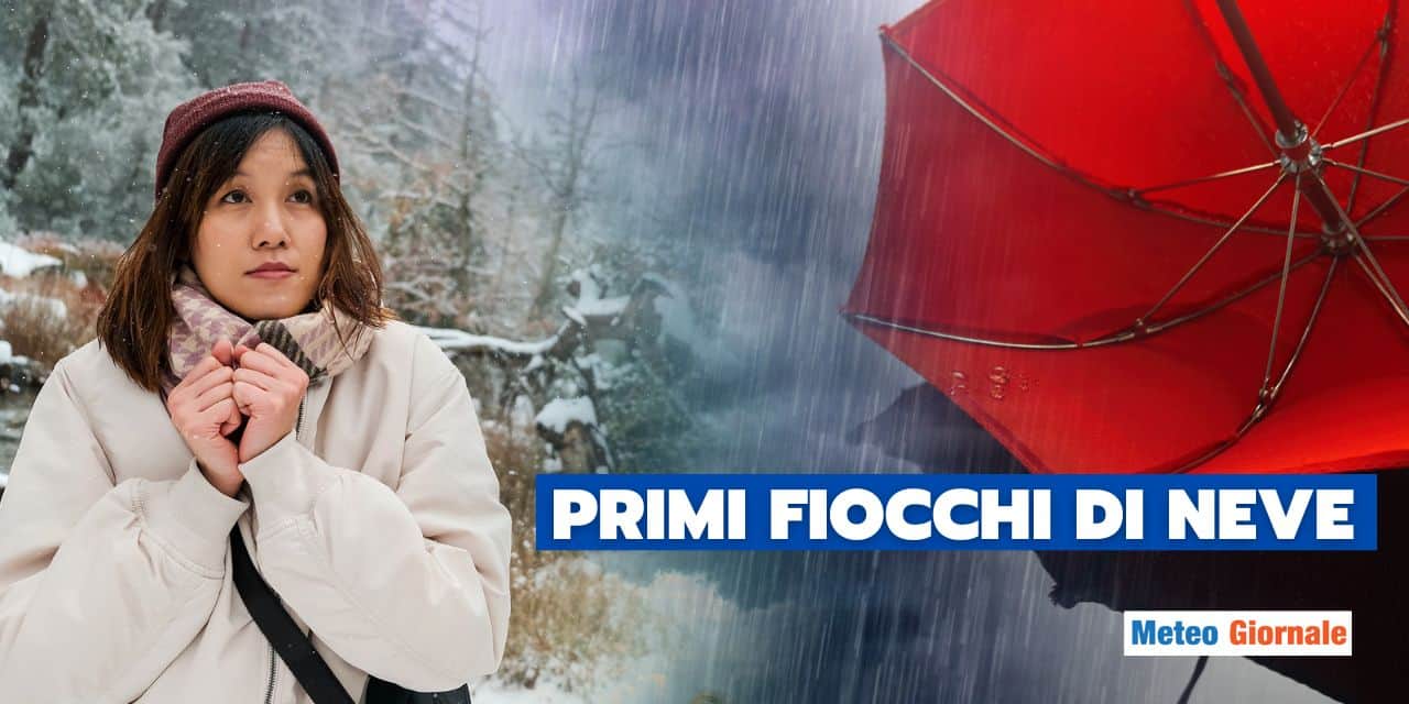 fiocchi di neve meteo 1011