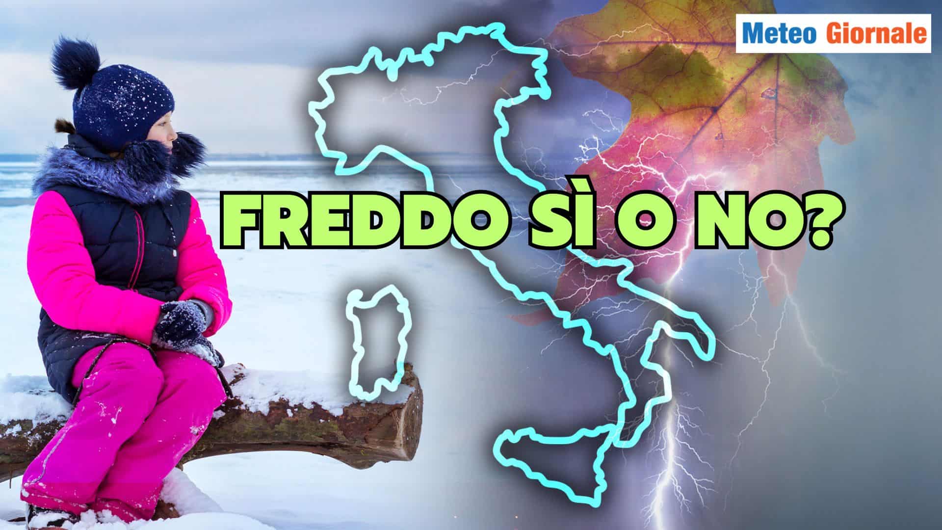 freddo si no 16 juiop
