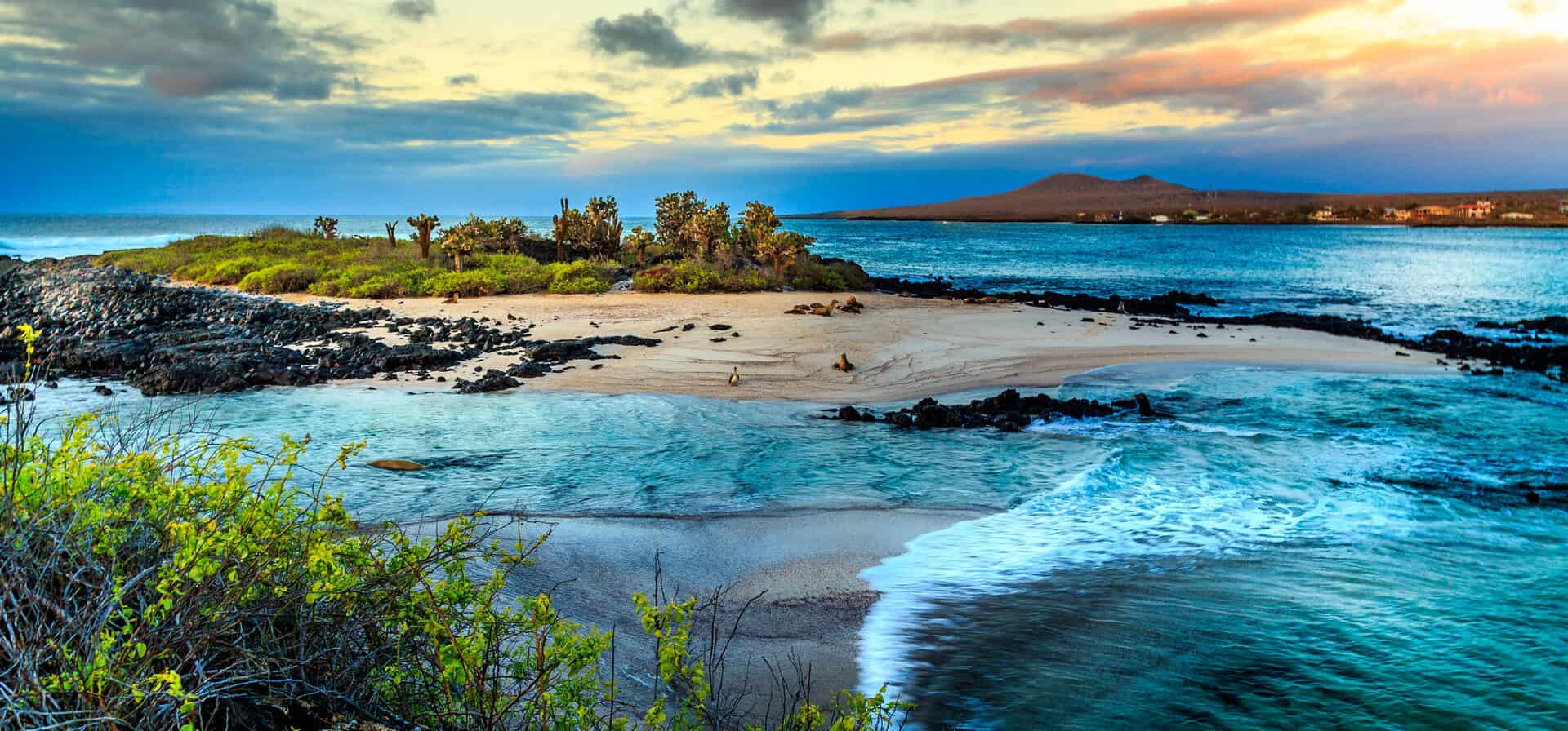 Viaggio in Ecuador e alle isole Galápagos: natura incontaminata e clima ideale