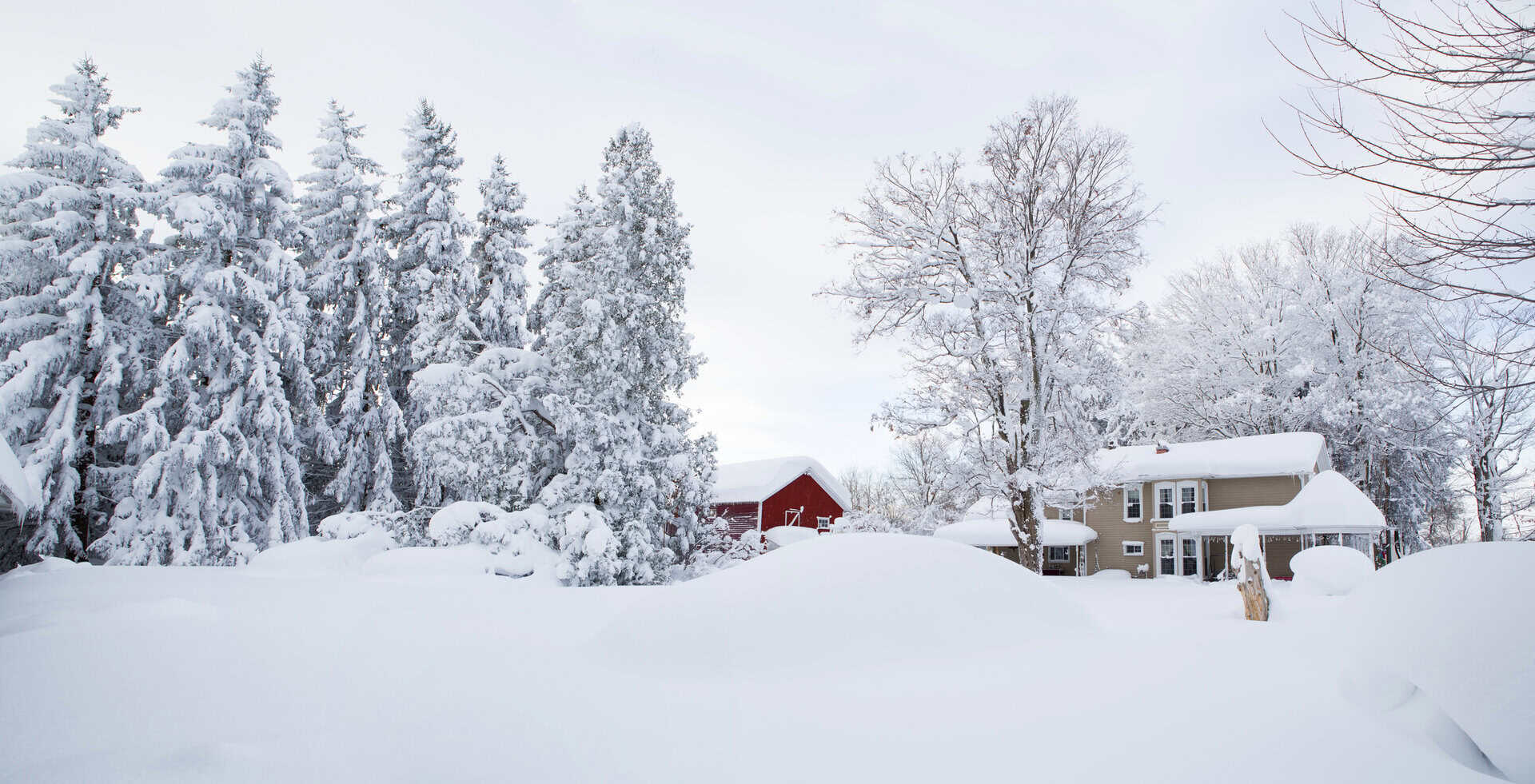 gelo nevicate stati uniti 1128