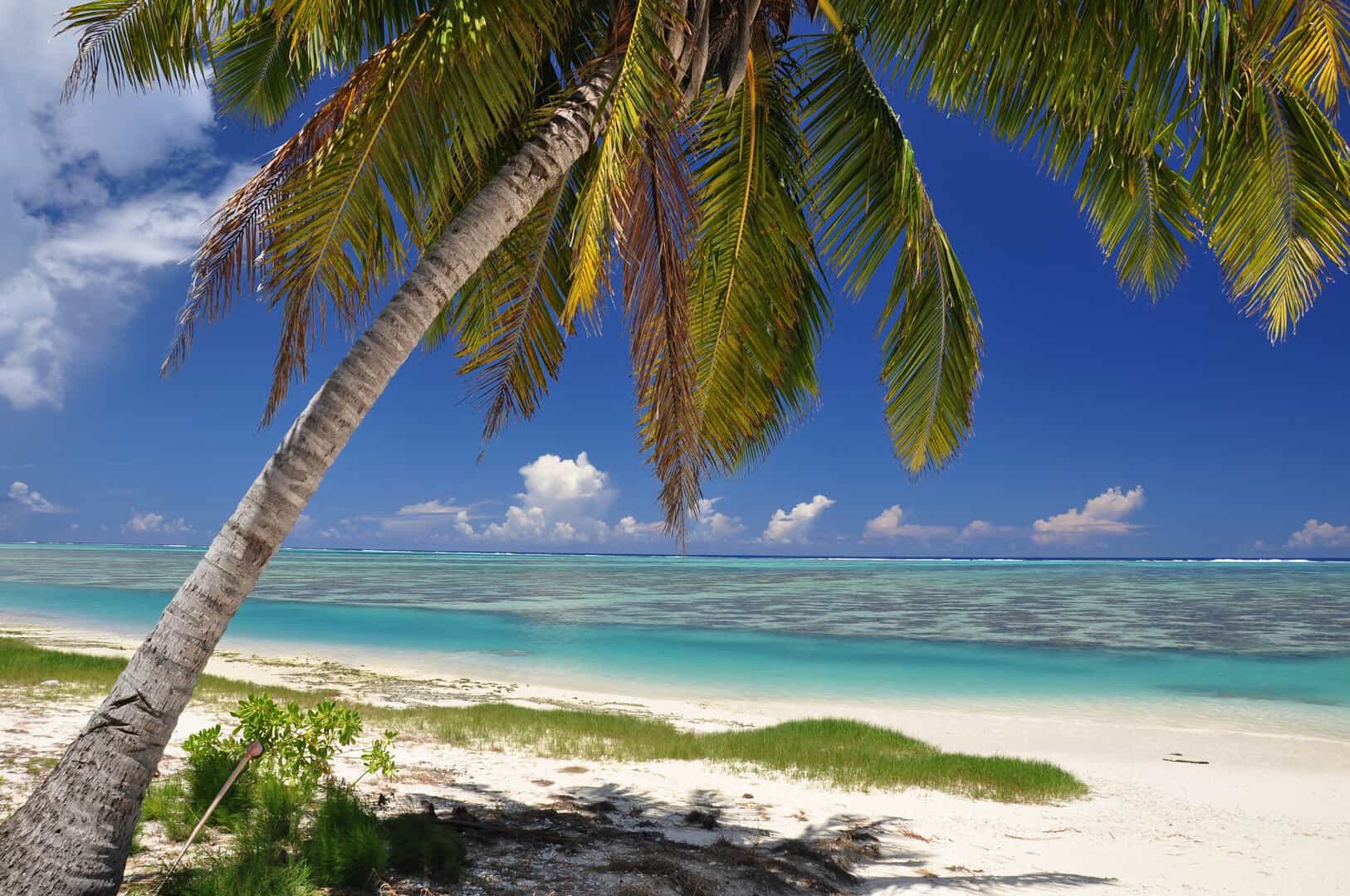 Viaggio alle isole Cook: spiagge idilliache e clima tropicale perfetto