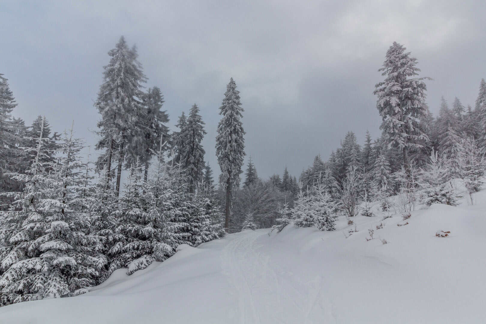 nevicate repubblica ceca 1119