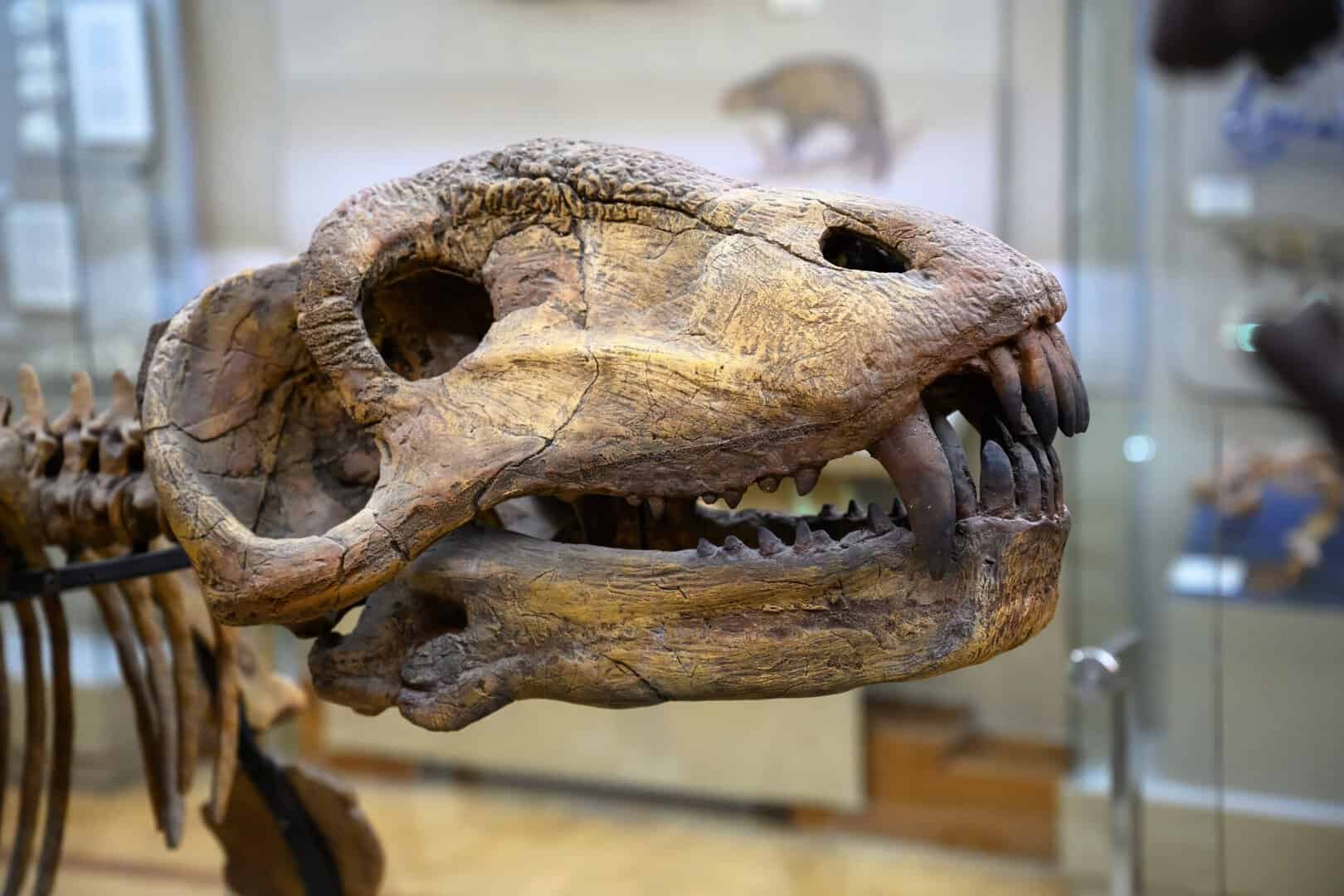 Meteo e dinosauri: la prosperità legata ai periodi freddi