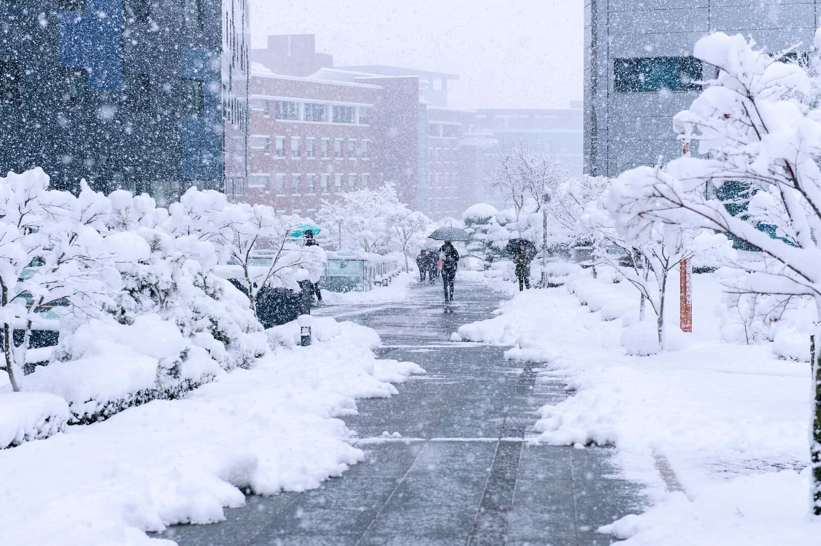 Meteo estremo in Corea: una tempesta di neve senza precedenti paralizza Seoul