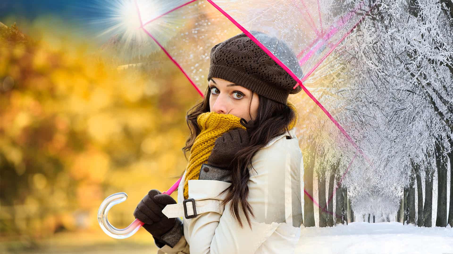 011224 D