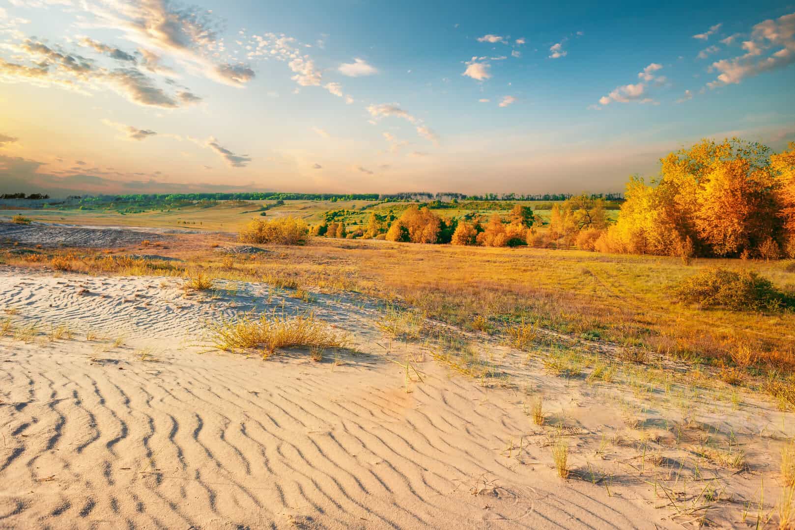 Crisi climatica: l’ autunno 2024 è stato il più caldo della storia negli Stati Uniti