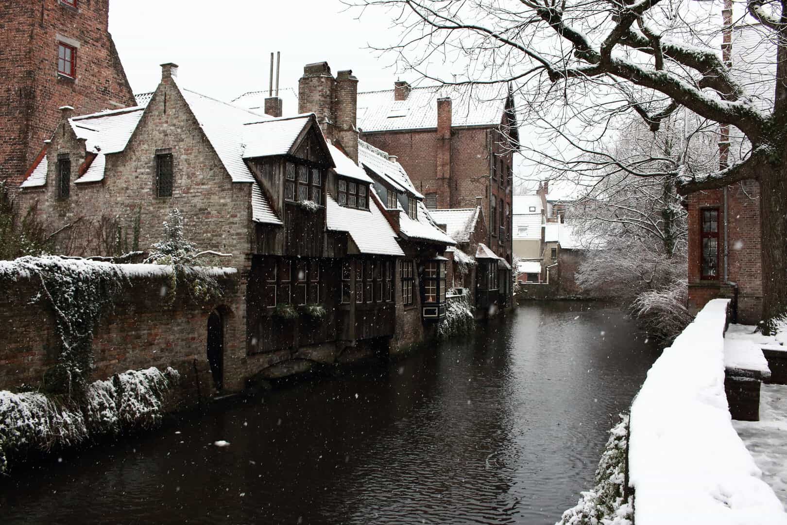 bruges neve 1217