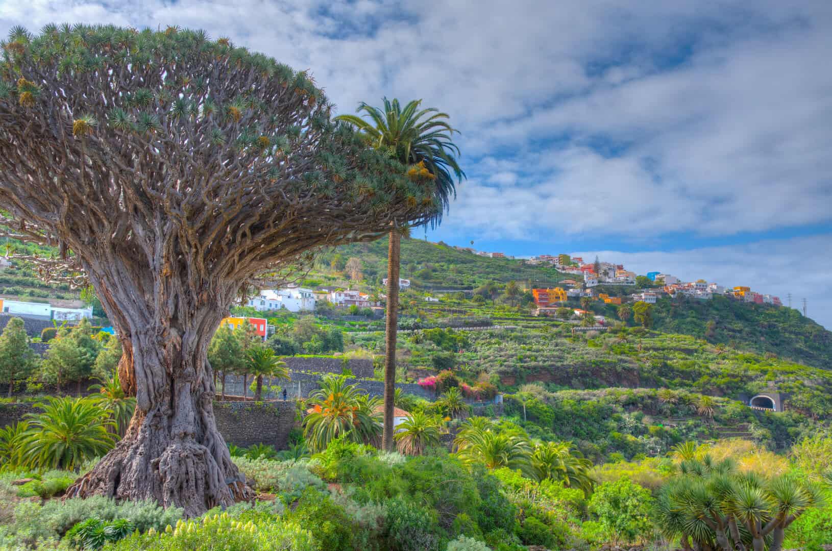 Viaggio alla scoperta della cueva del viento a Tenerife