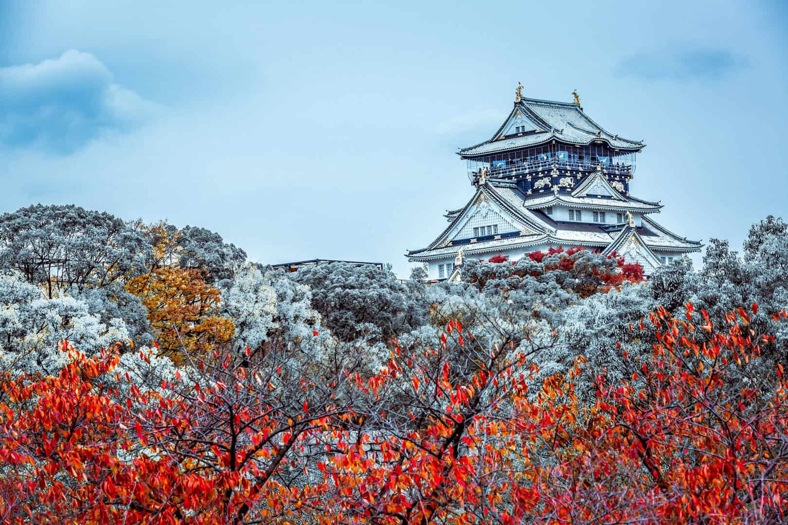 Turismo a Osaka. Cultura e attrazioni nella fresca stagione invernale