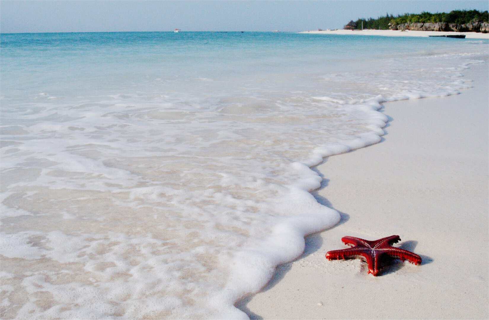 Viaggio a Zanzibar: tra relax, avventura e meraviglie naturali