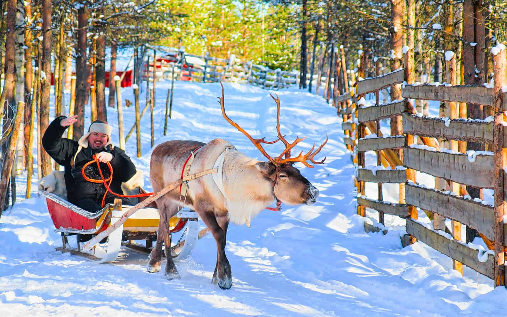 Viaggio a Rovaniemi. Esplorando il villaggio innevato di Babbo Natale in fotografia