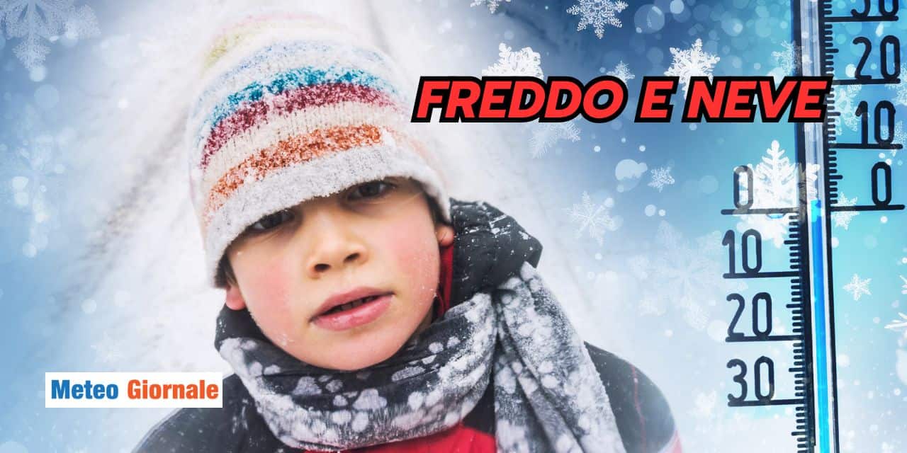 freddo
