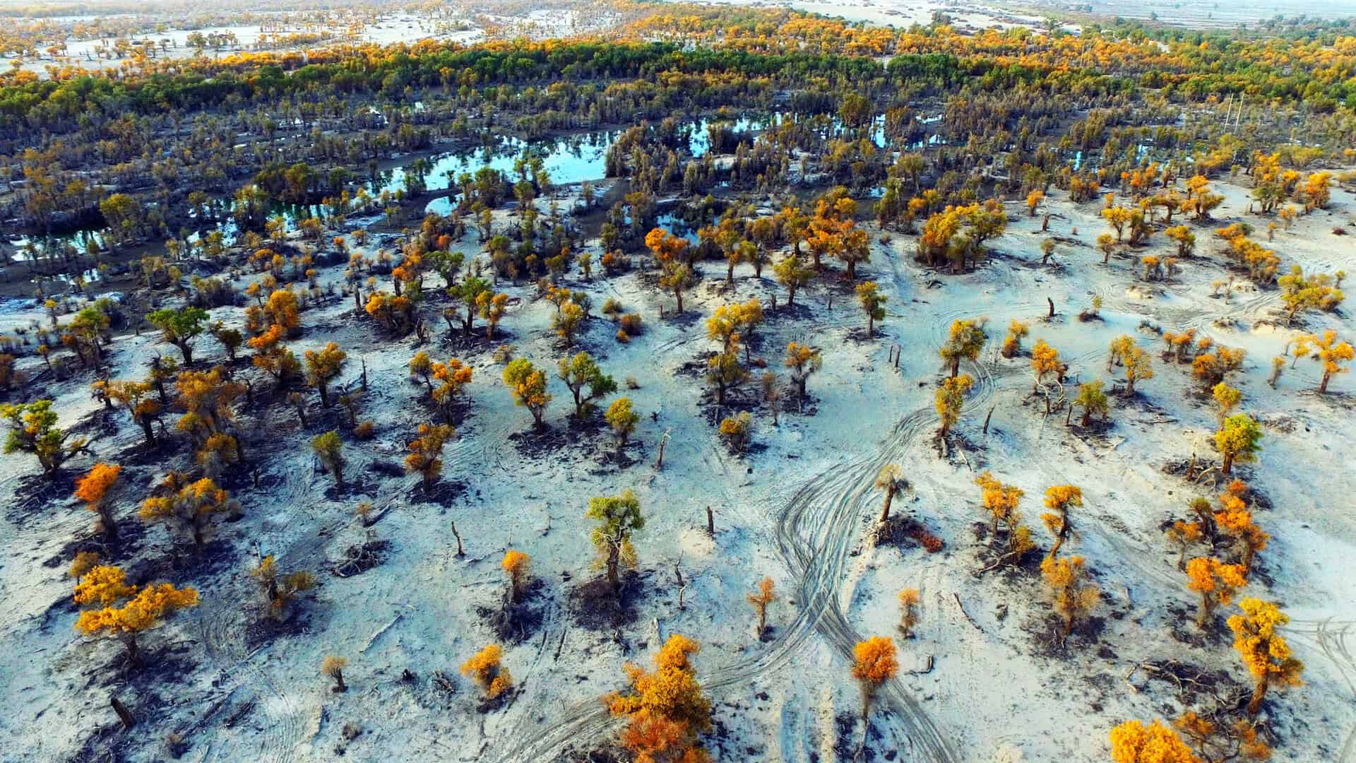 La Cina completa la Grande Muraglia Verde lungo il suo più grande deserto