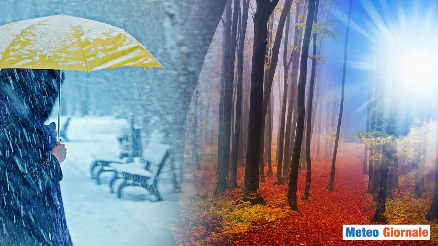 Tendenza METEO: sarà un BIANCO NATALE o ancora a MANICA CORTA?
