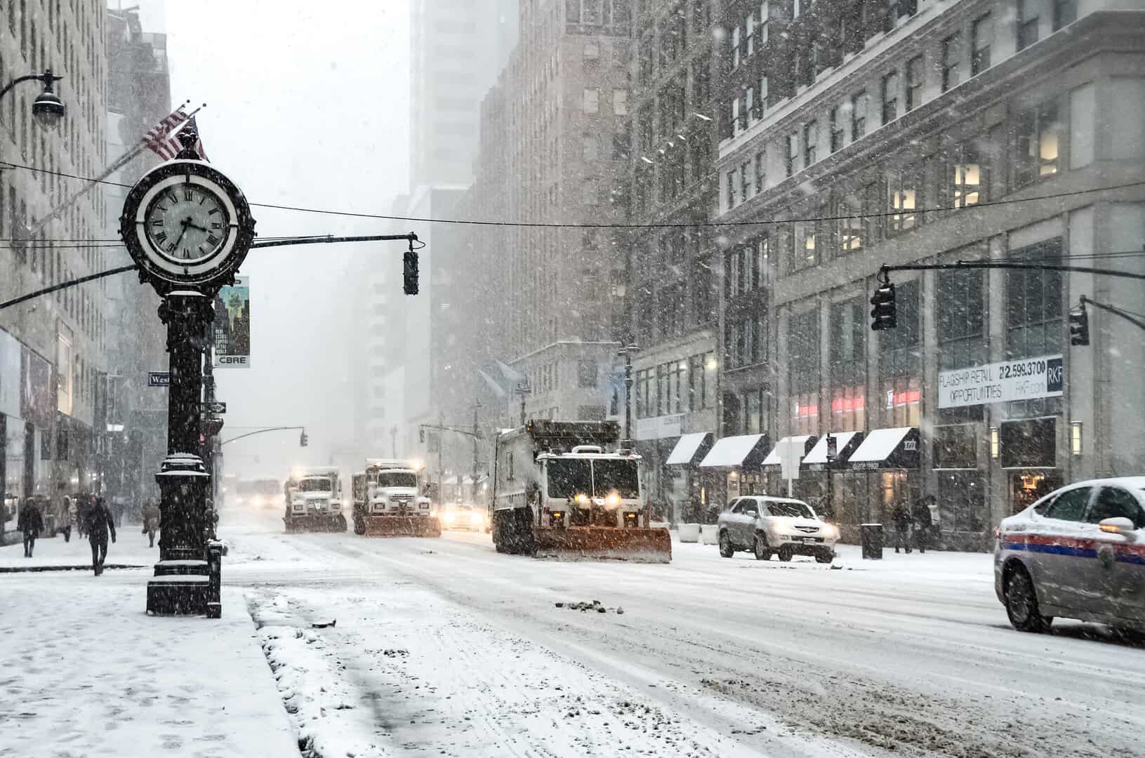 new york neve 1231