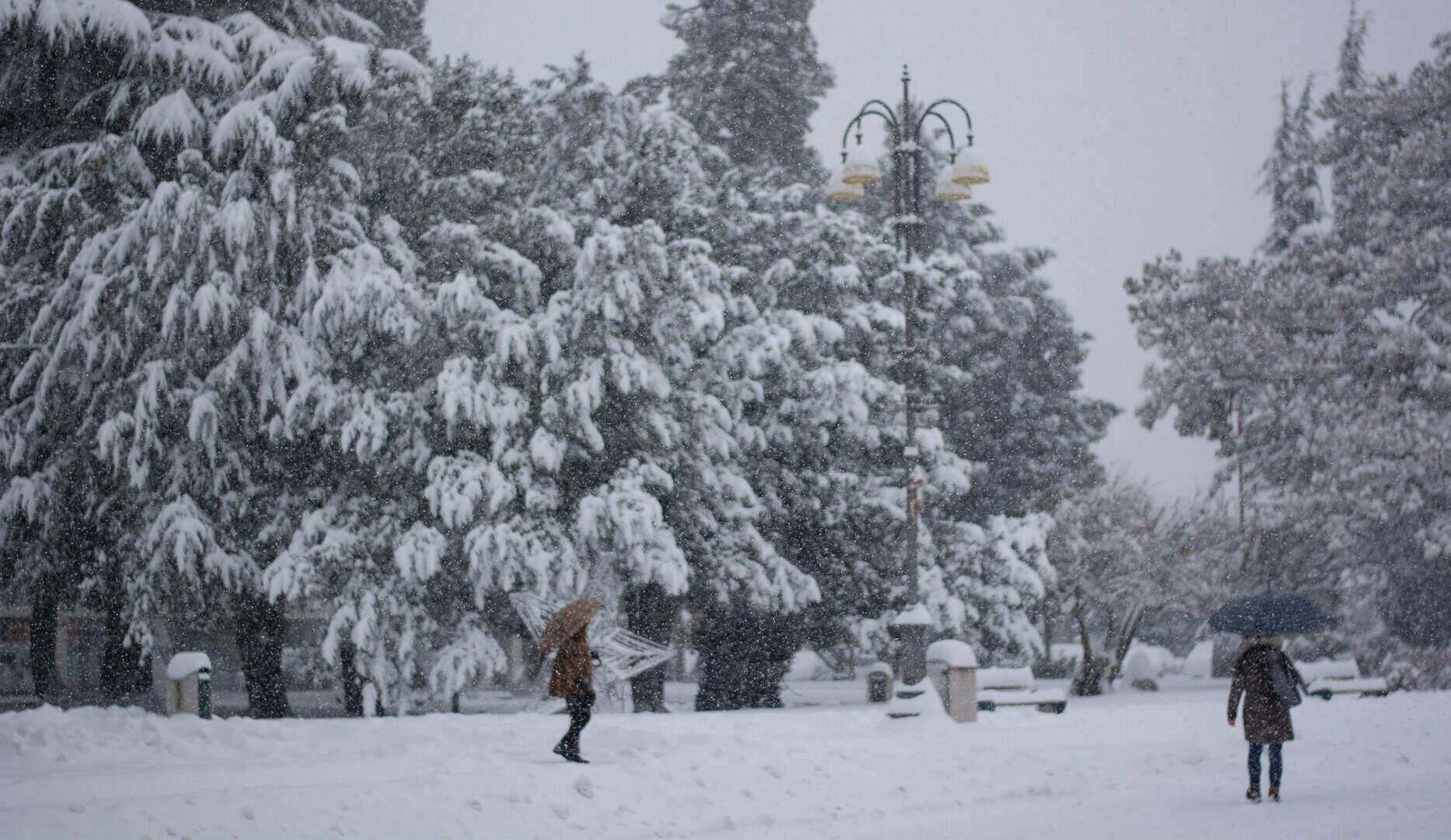 palermo neve 1981 1226