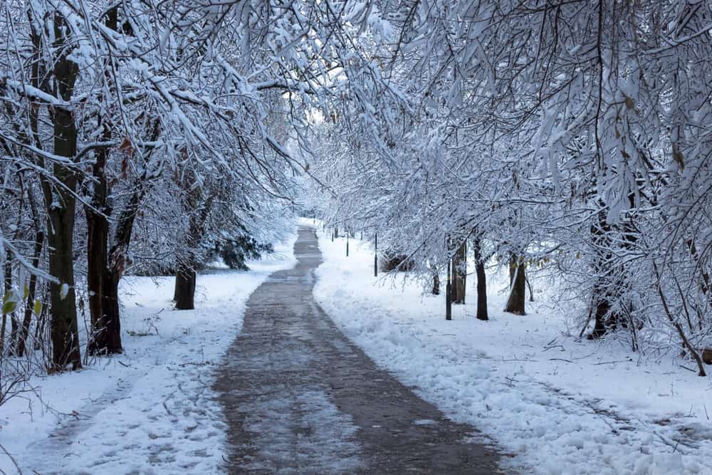 -30°C a Ferrara, un passato da non dimenticare