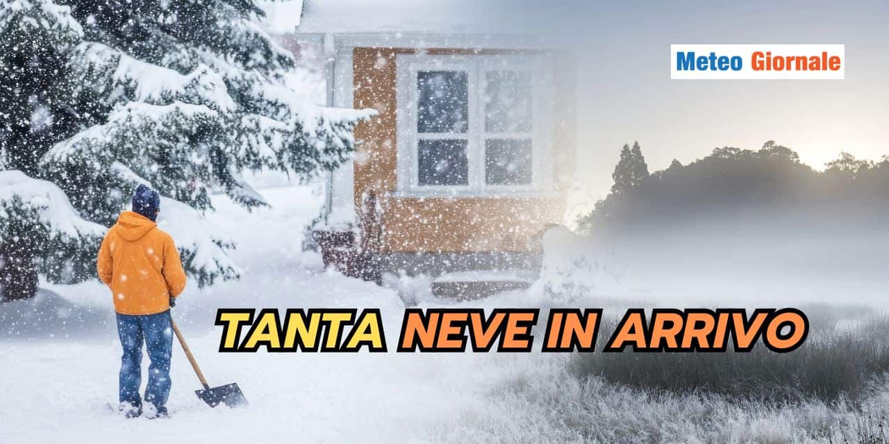 tanta 1