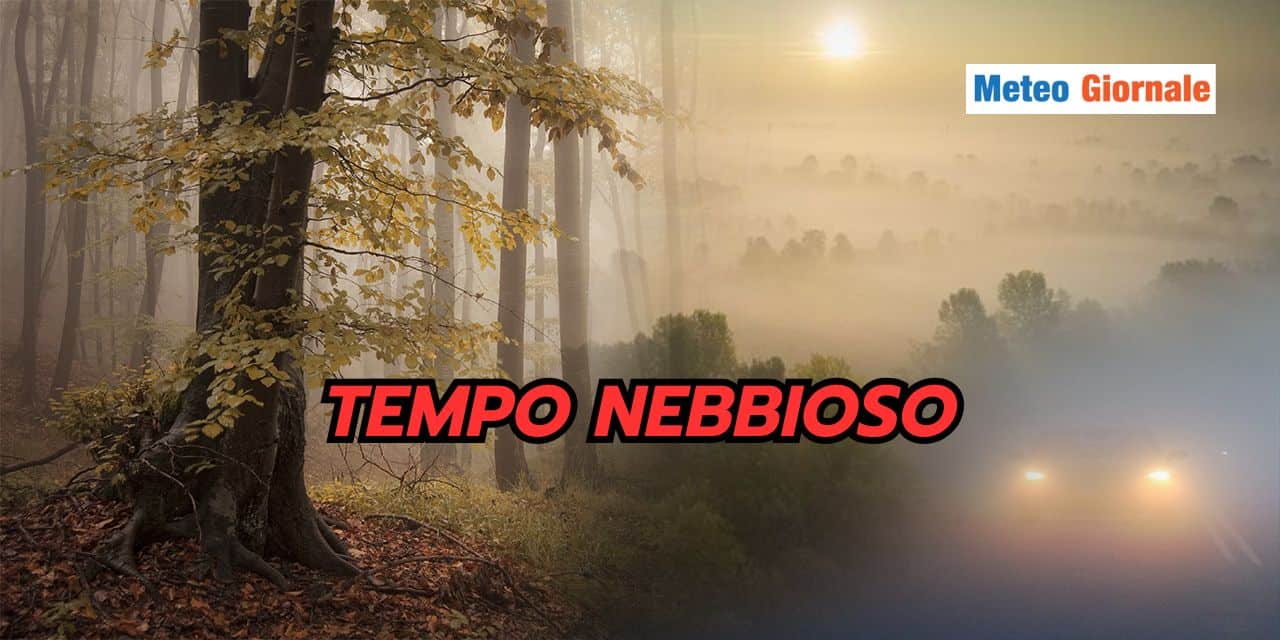 tempo