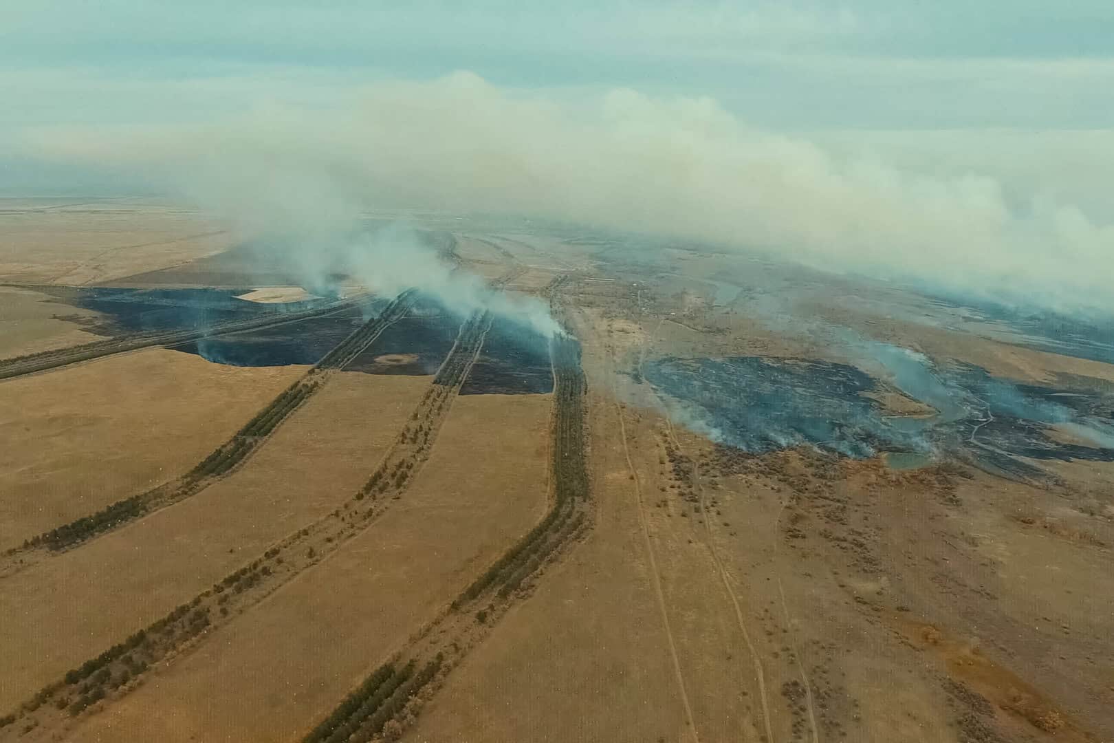 Cambiamenti rapidi e drammatici nell’Artico: la tundra diventa fonte di carbonio