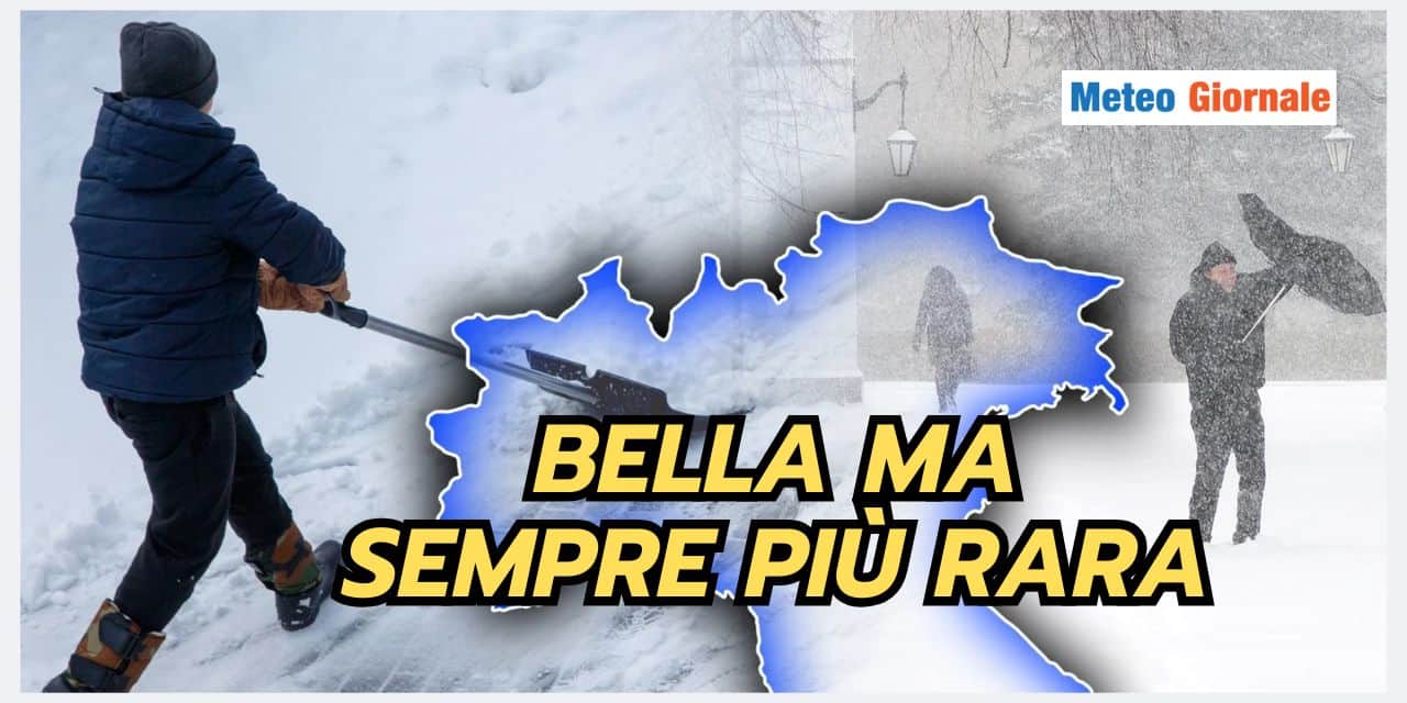Copia di BOMBE DI GRANDINE 67