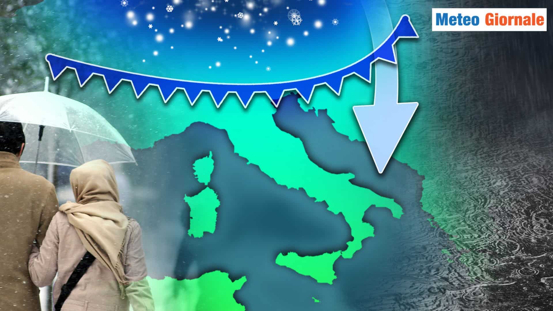 artico 20