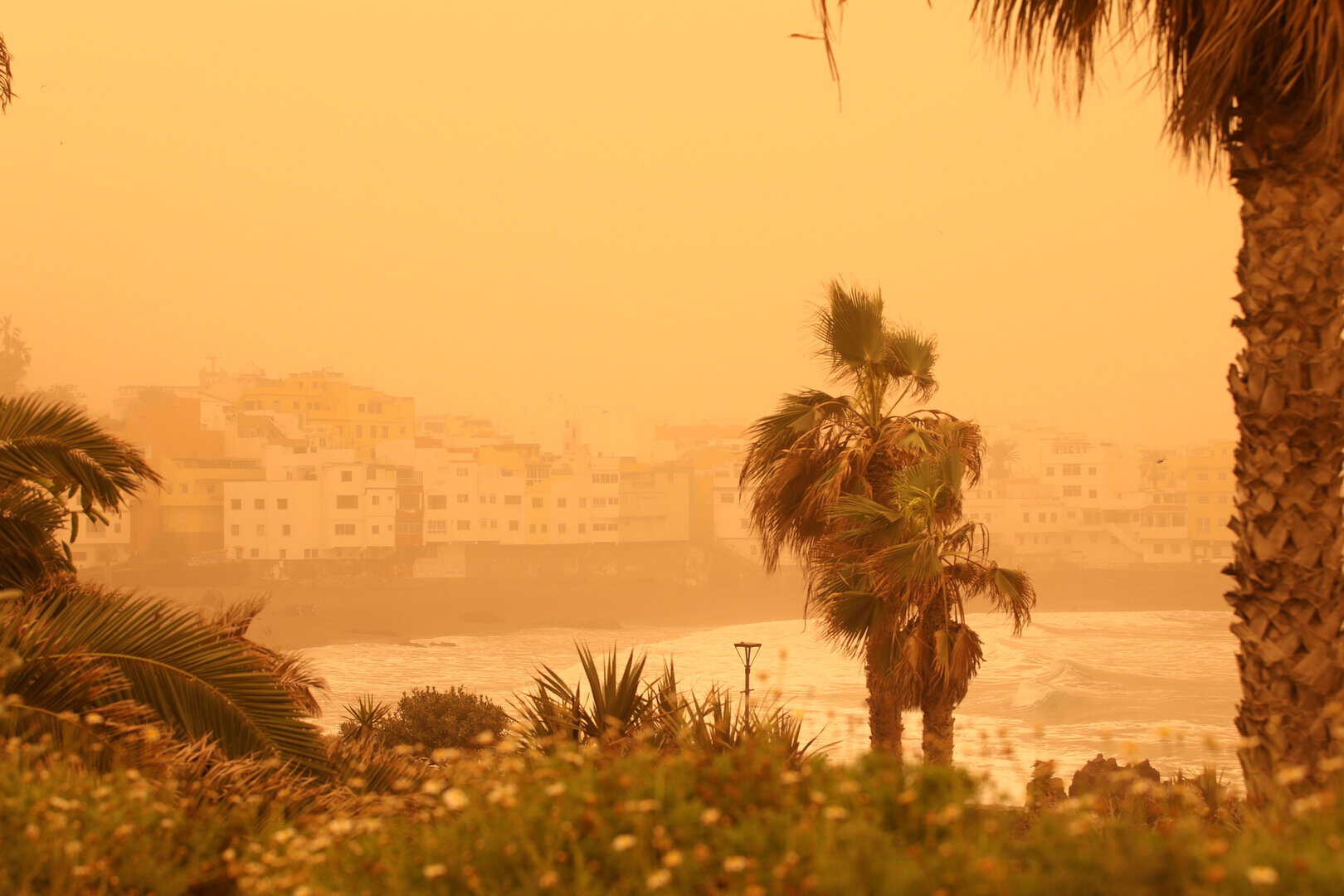 Meteo Canarie: Calima in arrivo, polvere sahariana e visibilità ridotta, i rischi
