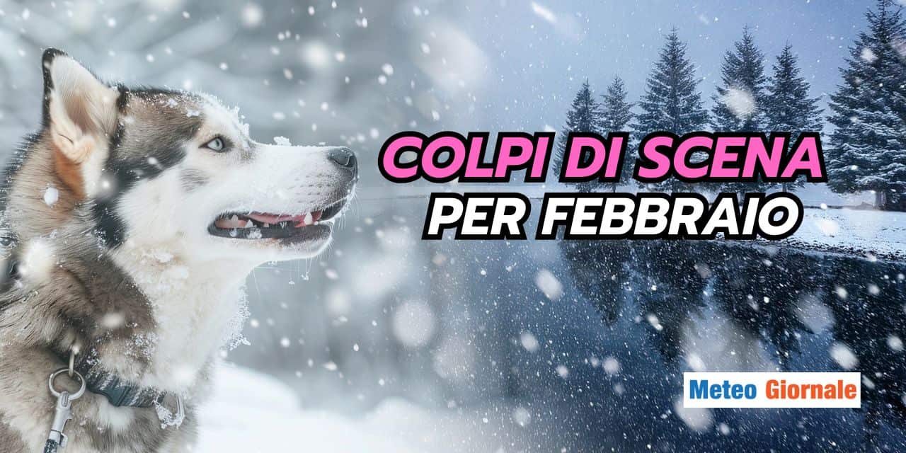 colpi 2301