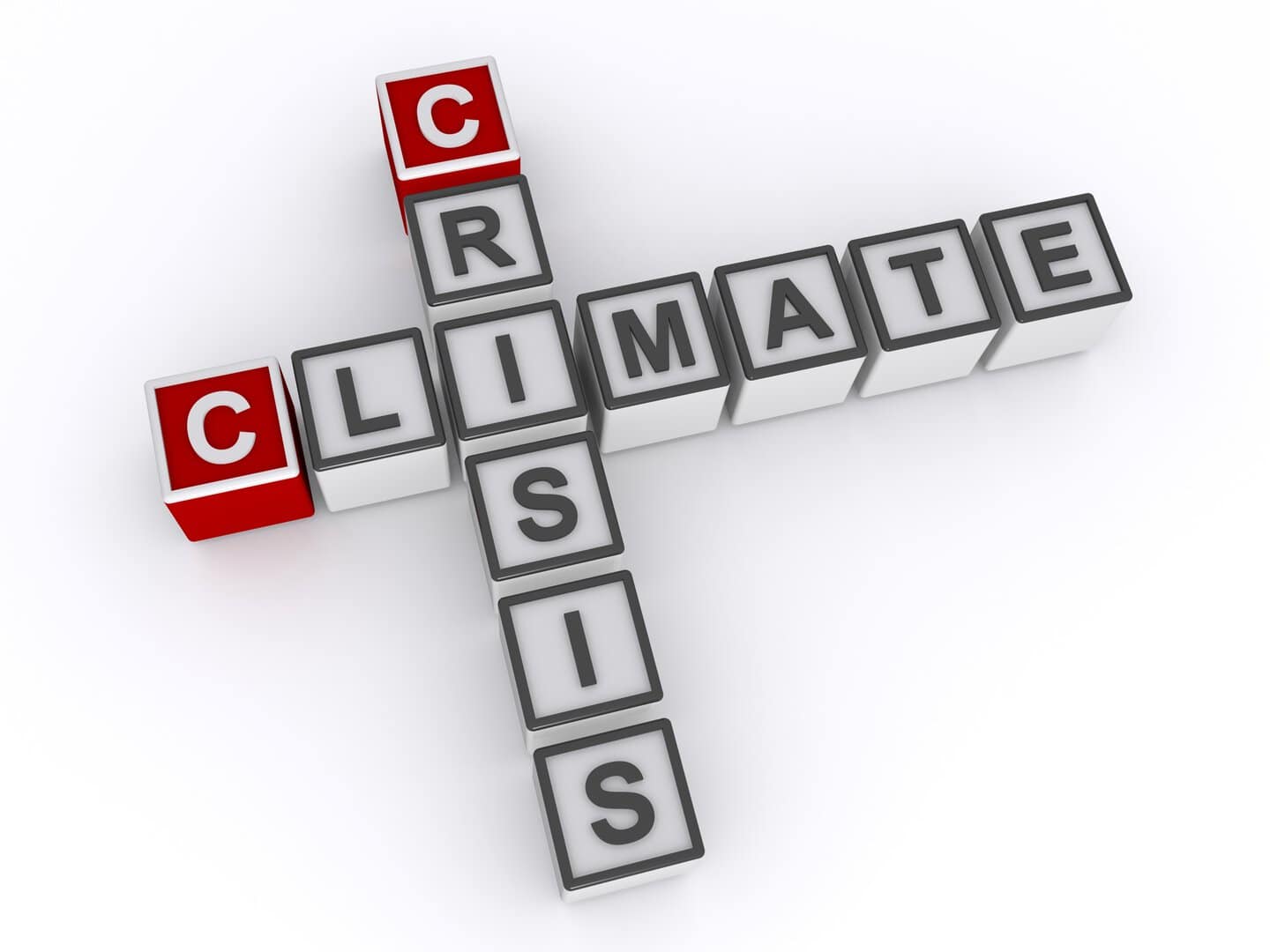 I tre record climatici del 2024 che allarmano: il clima non può più aspettare