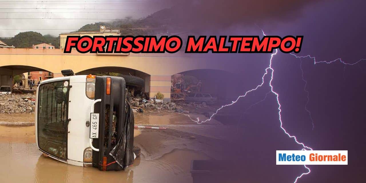 fortissimo 1601